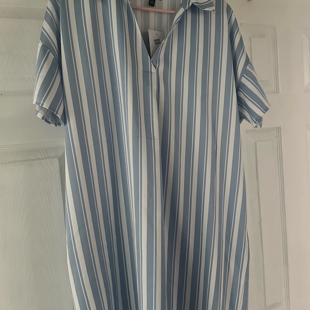 The Limited Light Blue and White Striped Garment